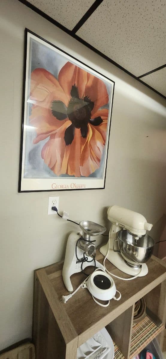 Moving Sale! Everything must GO! photo 11