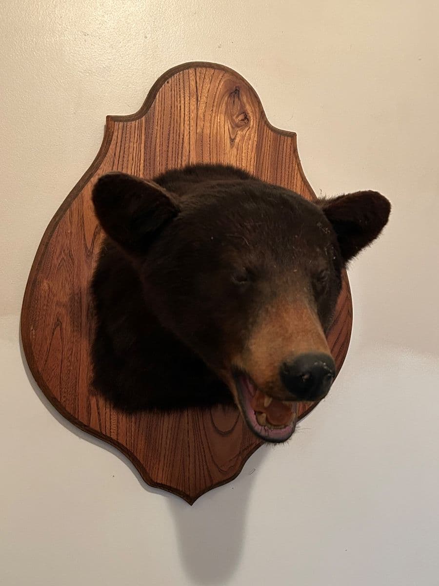 Amazing Antique and Quality Estate Sale photo 5