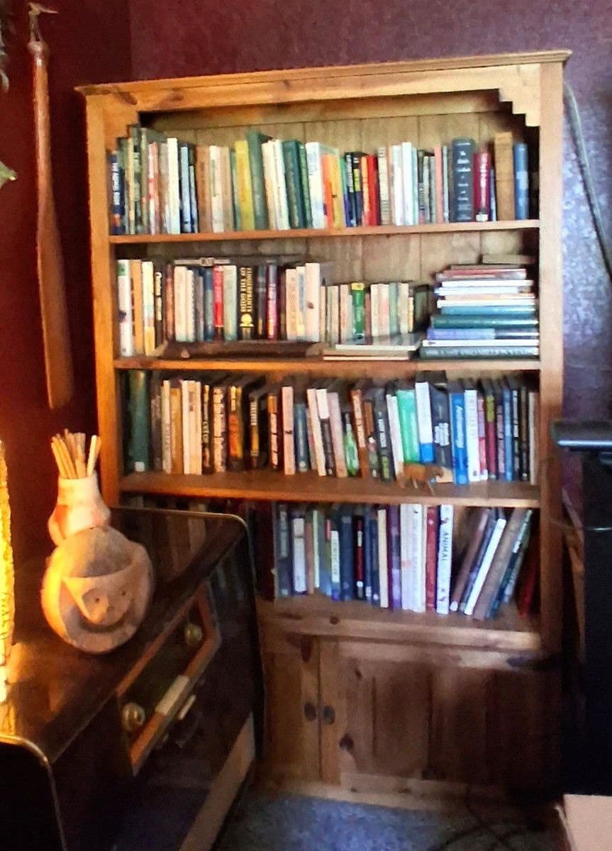 One Day Only! Eclectic Treasure Hunt! photo 2