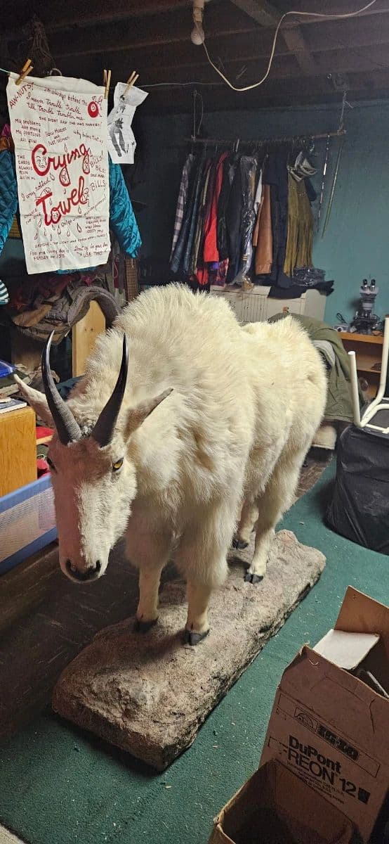 Estate sale..60 years of treasures. Everything priced to sell!! photo 4