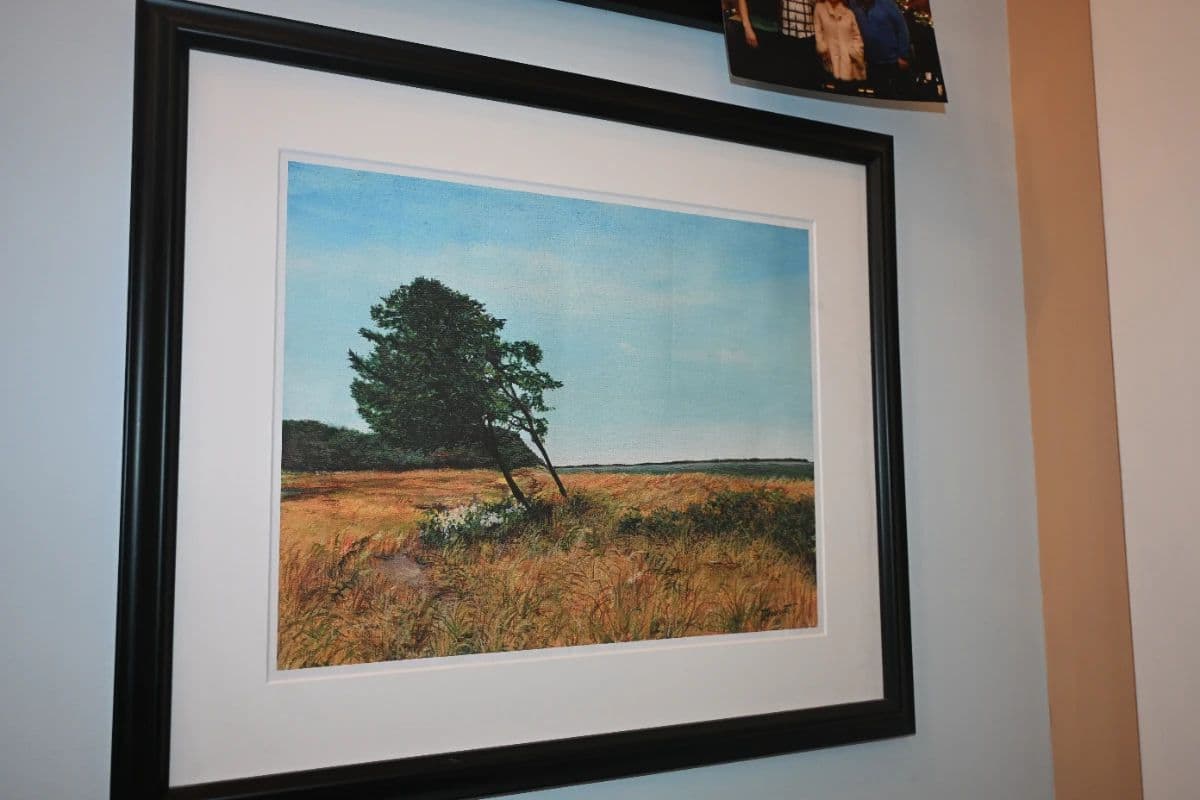 Hampton Bays IN PERSON Tag Sale: MCM / Vintage Collectibles, Clothing, Garden, Much Much More photo 6