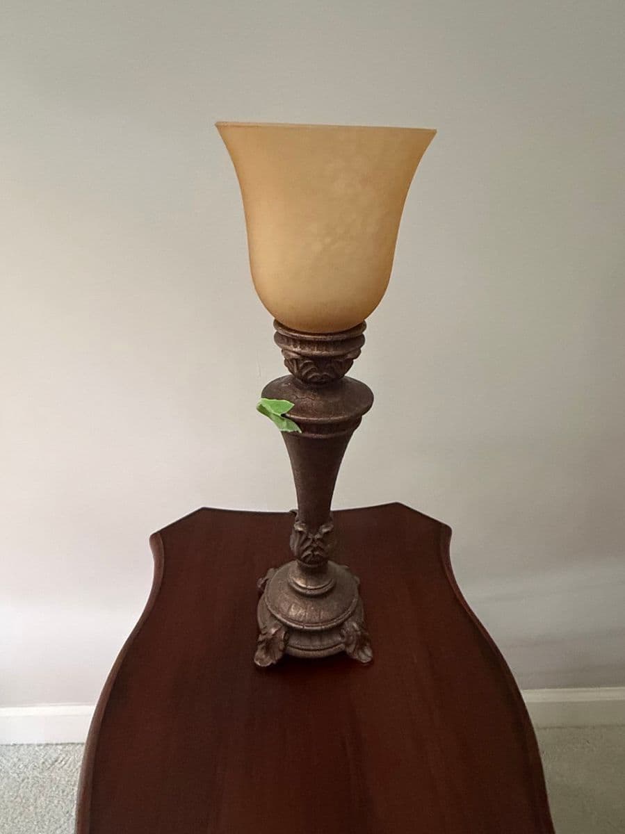 Blue Moon Estate Sale in Raleigh photo 9