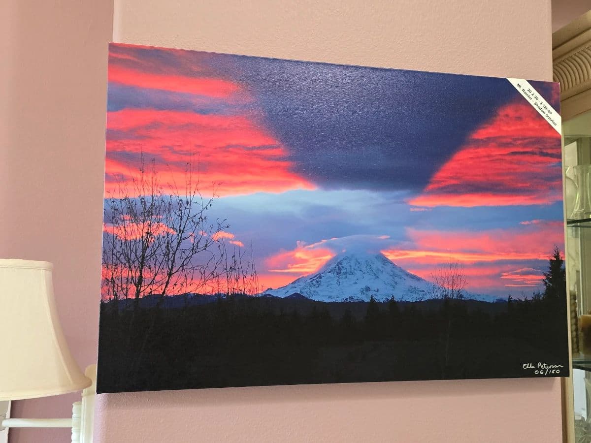 Epic Graham Professional Photographers Home and Business Estate Sale photo 1