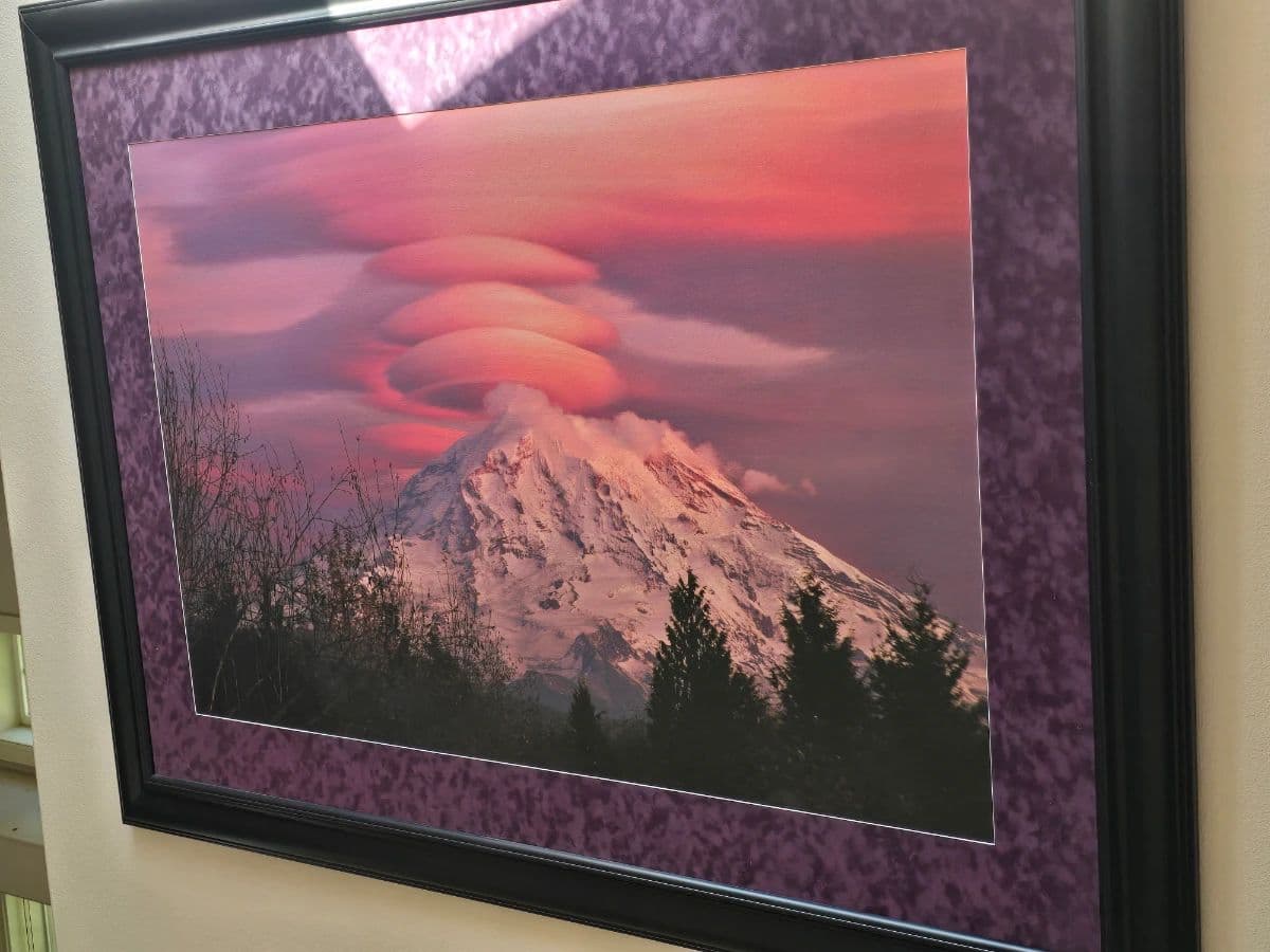 Epic Graham Professional Photographers Home and Business Estate Sale photo 2