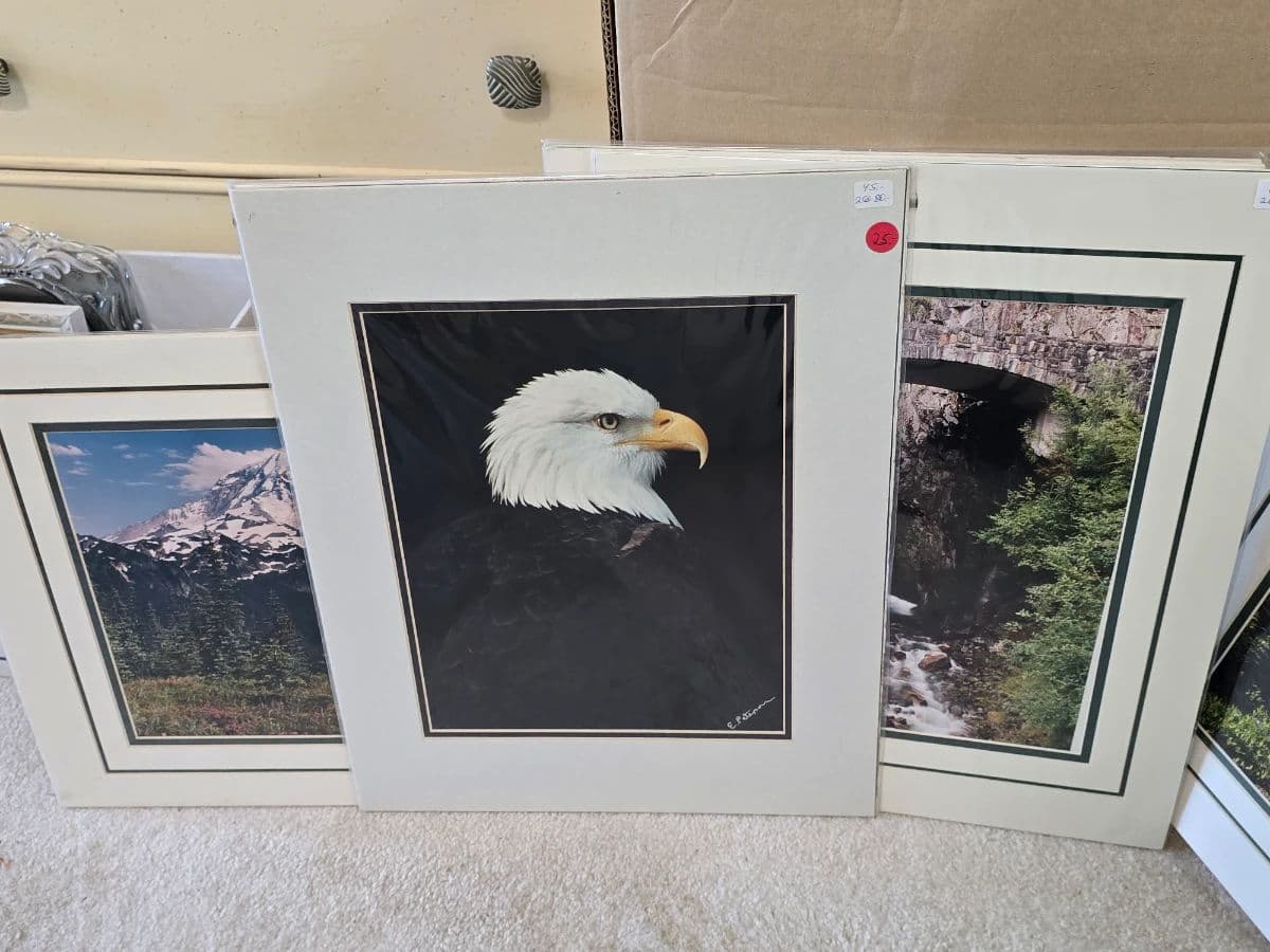 Epic Graham Professional Photographers Home and Business Estate Sale photo 12