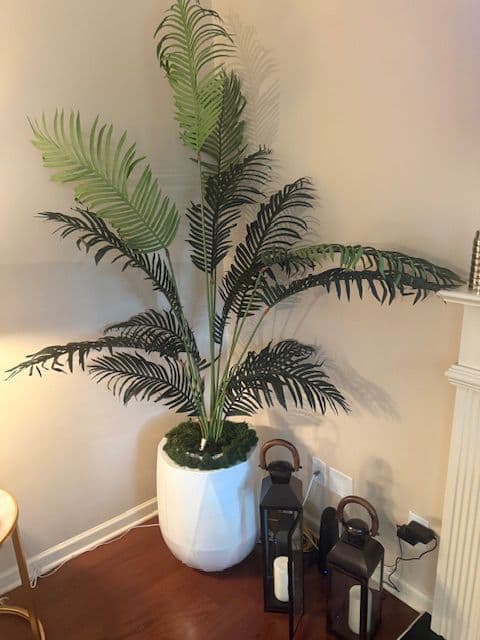 Smyrna professionally decorated home a stagers dream photo 9