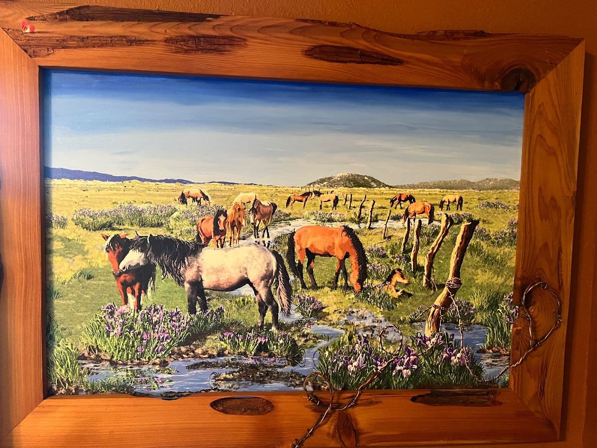 Prunedale Horse Ranch Estate Sale – Snap On Tools, Western Gear, Saddle, Tempurpedic, Garden photo 11