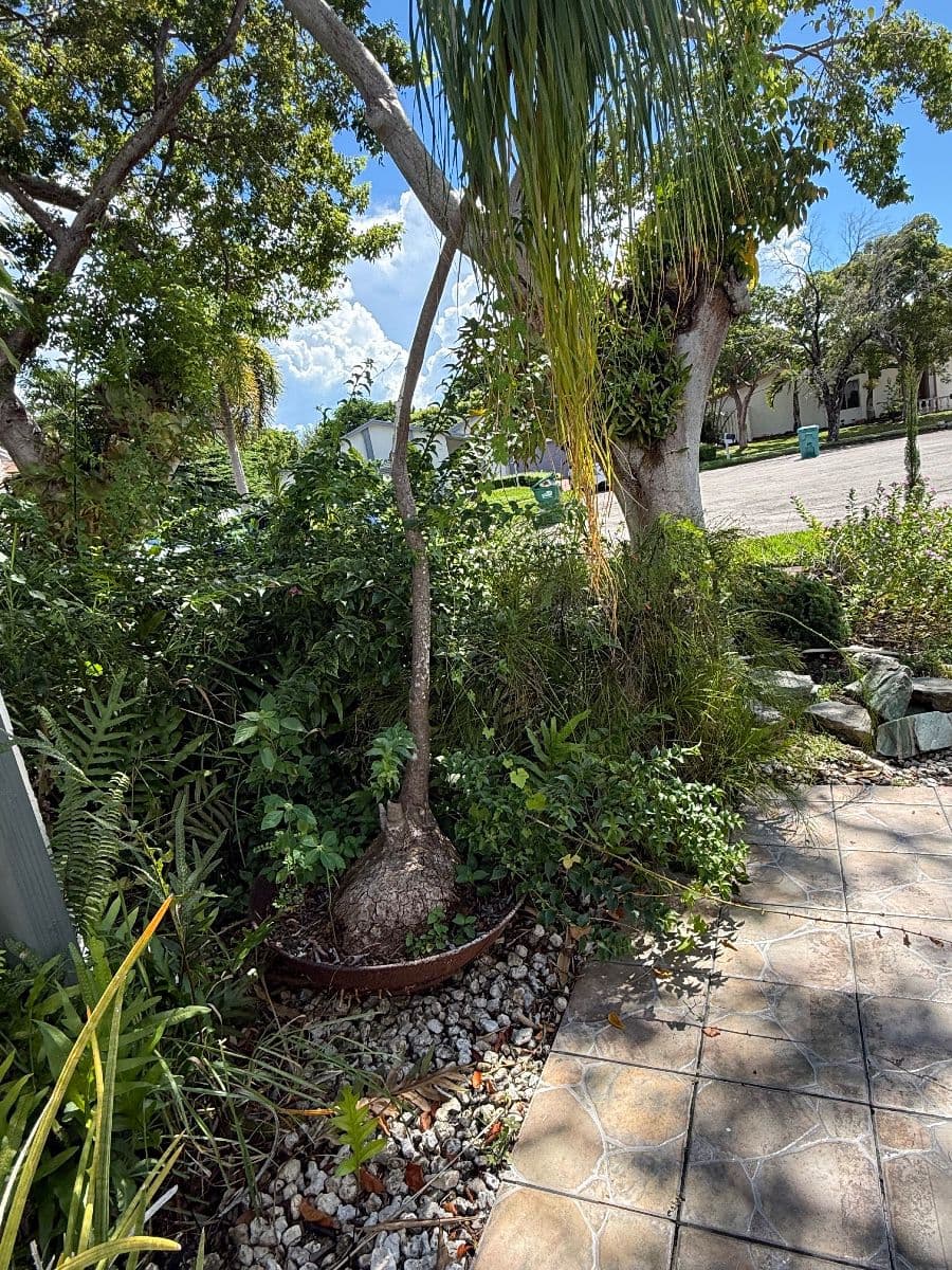 CROSSINGS - KENDALL - PLANTS, APPLIANCES photo 8