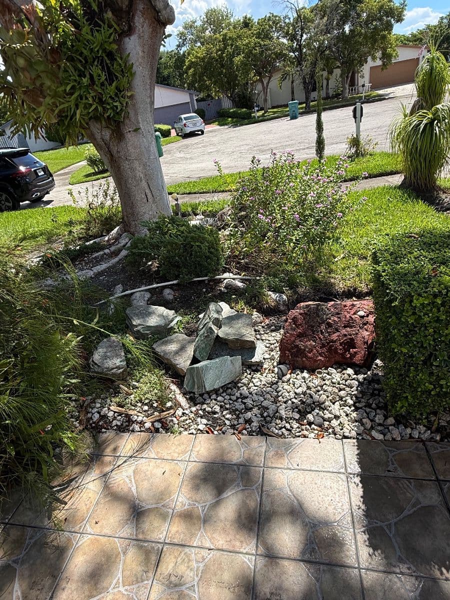 CROSSINGS - KENDALL - PLANTS, APPLIANCES photo 6