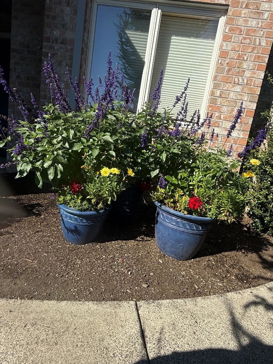 Bates Estate Sales – Garage, Tools & Workshop Estate Sale photo 10