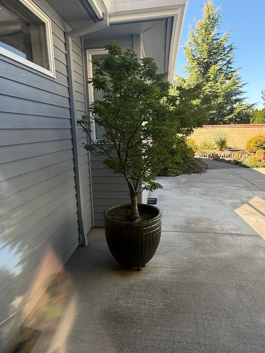 Bates Estate Sales – Garage, Tools & Workshop Estate Sale photo 8