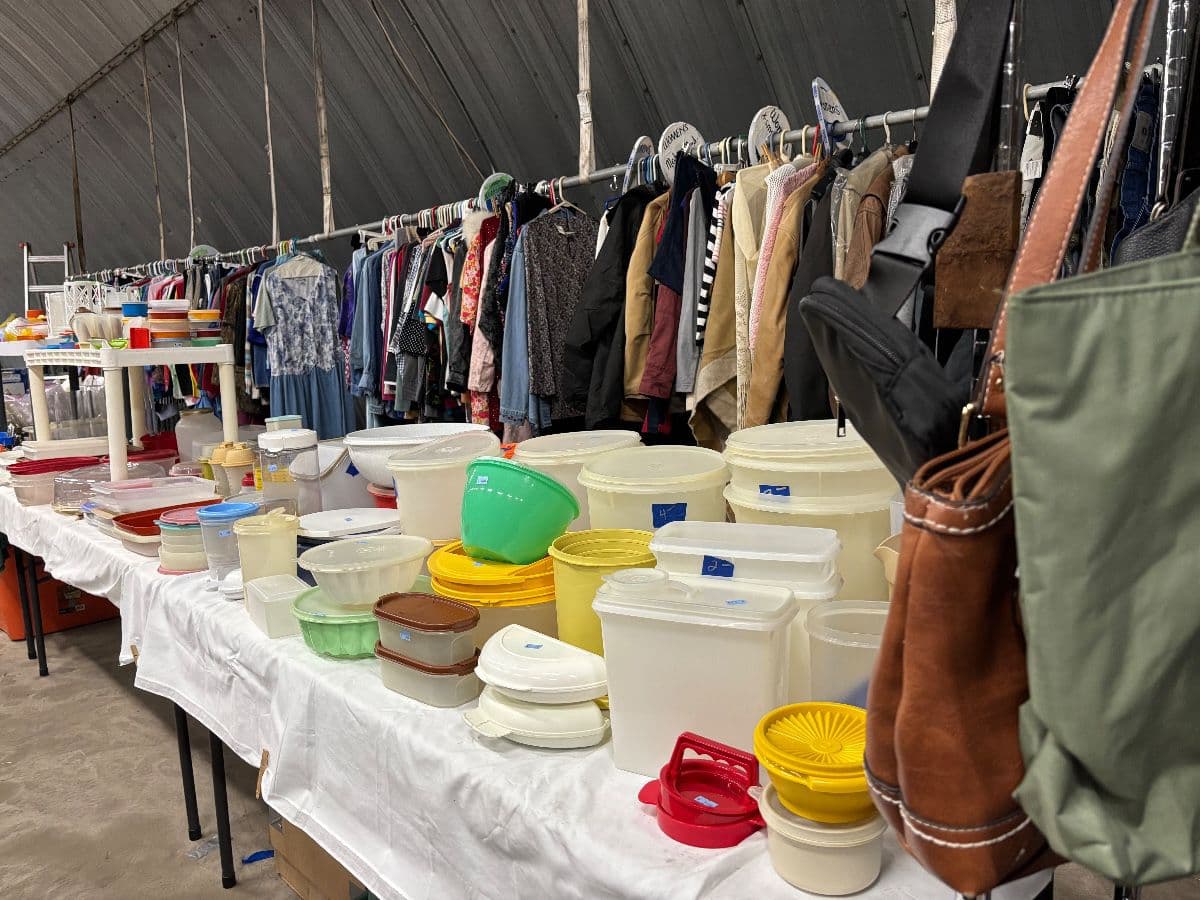 Monstrous Estate Sale photo 7
