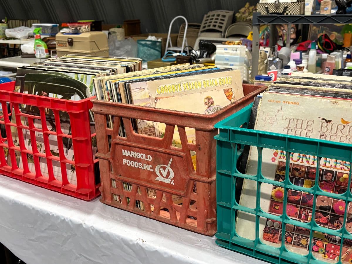 Monstrous Estate Sale photo 9