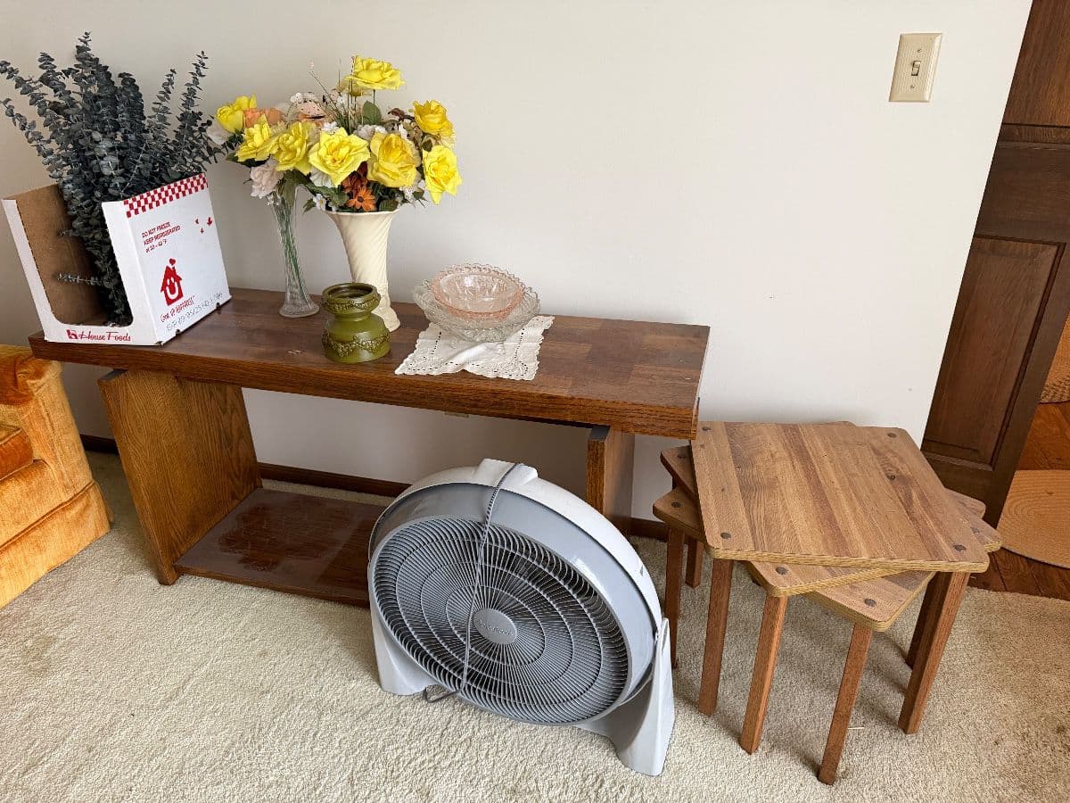 Anna Williams Downsizing Sale photo 8