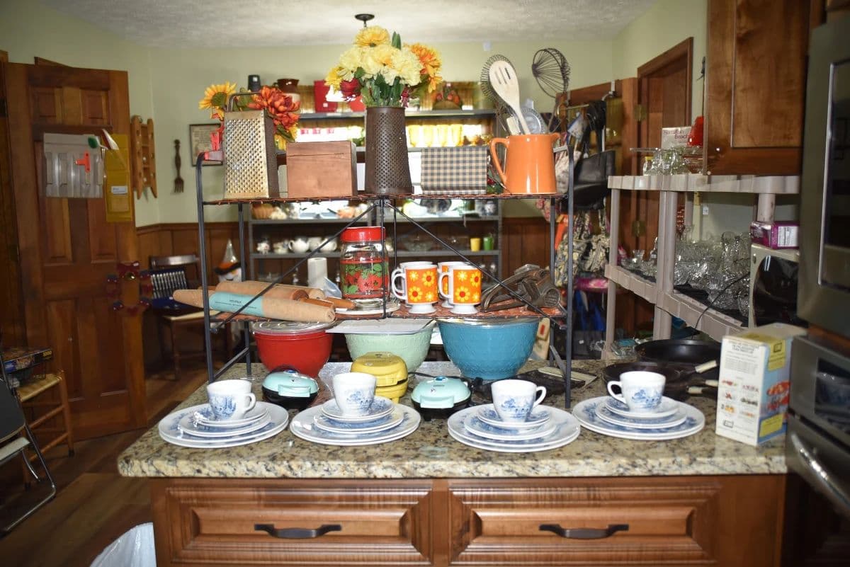 Something For Everyone photo 12