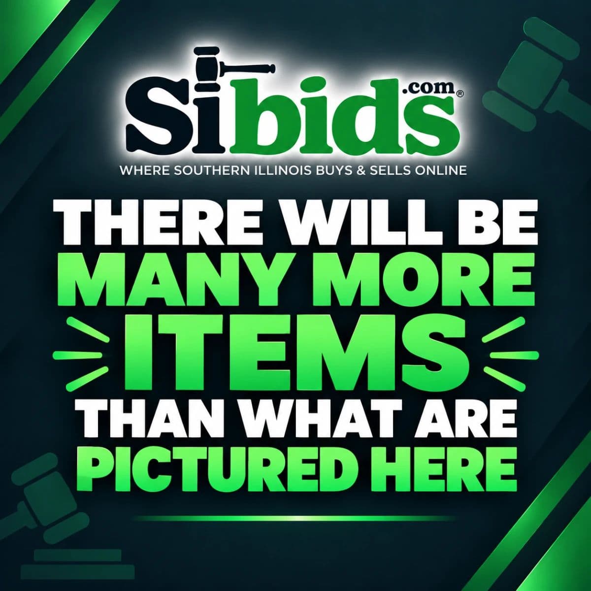 SiBids Estate of John Strebel photo 5