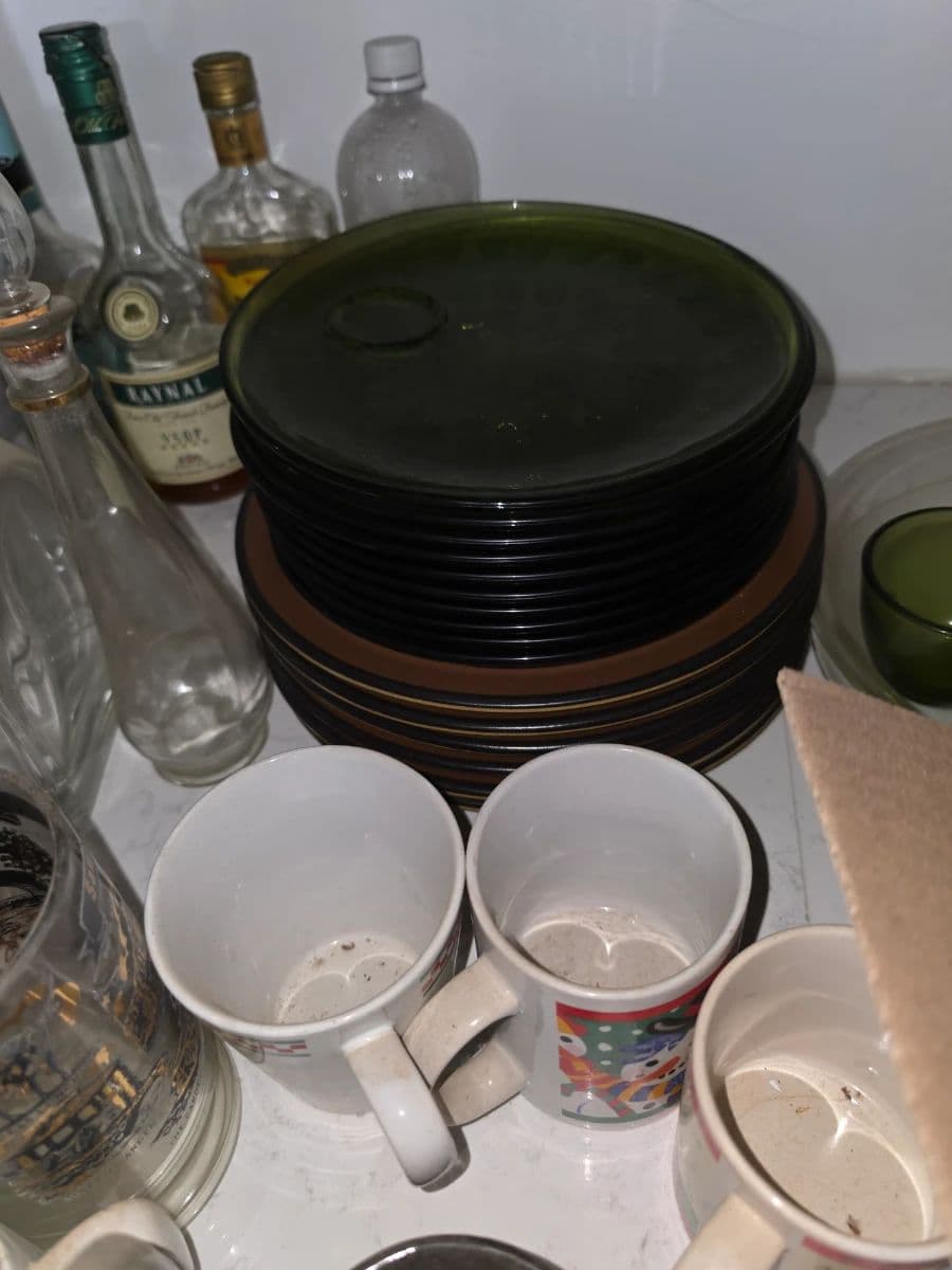 Mid Century Madness photo 7