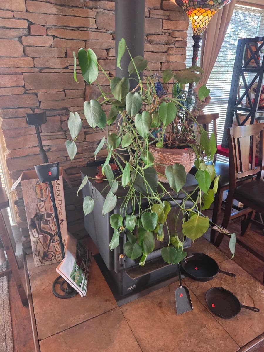 Quality Estate Sale LLC by Kendra ( Newport, Wa ) photo 7