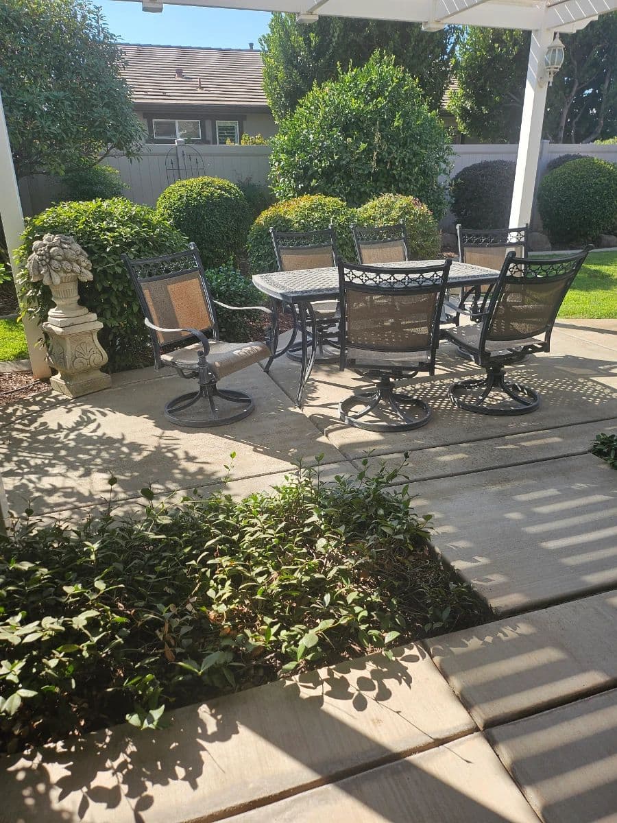 Sterling Estate Sales photo 11
