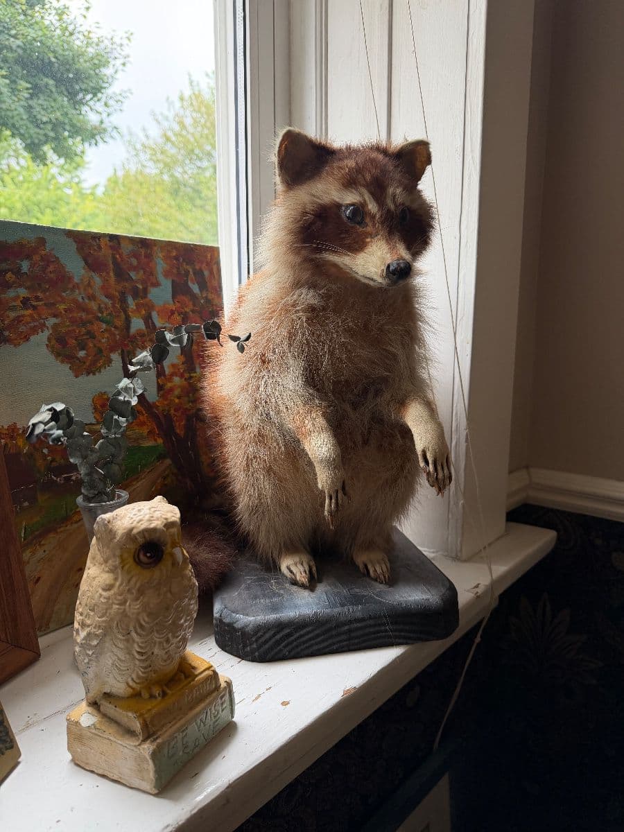 Luby’s Great Estate is in Bellerive w/ Mission Oak, Vintage Clothe & Nice Art! photo 8