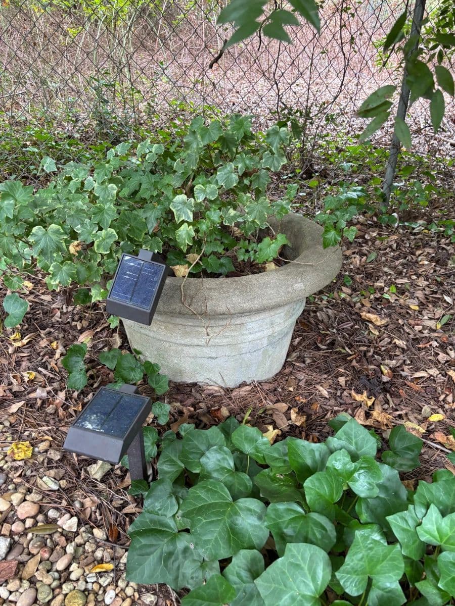 Brookhaven Estate Sale photo 6