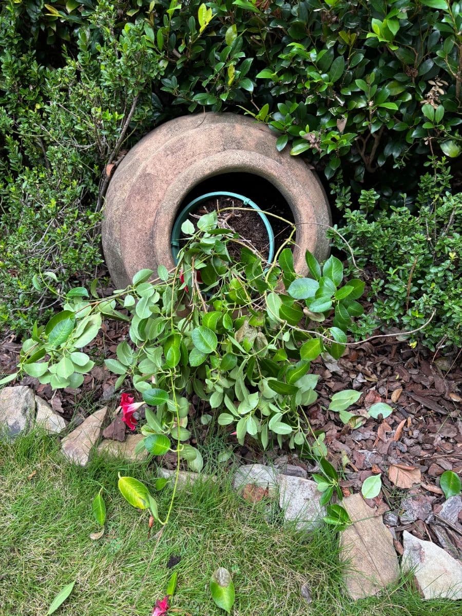 Brookhaven Estate Sale photo 4