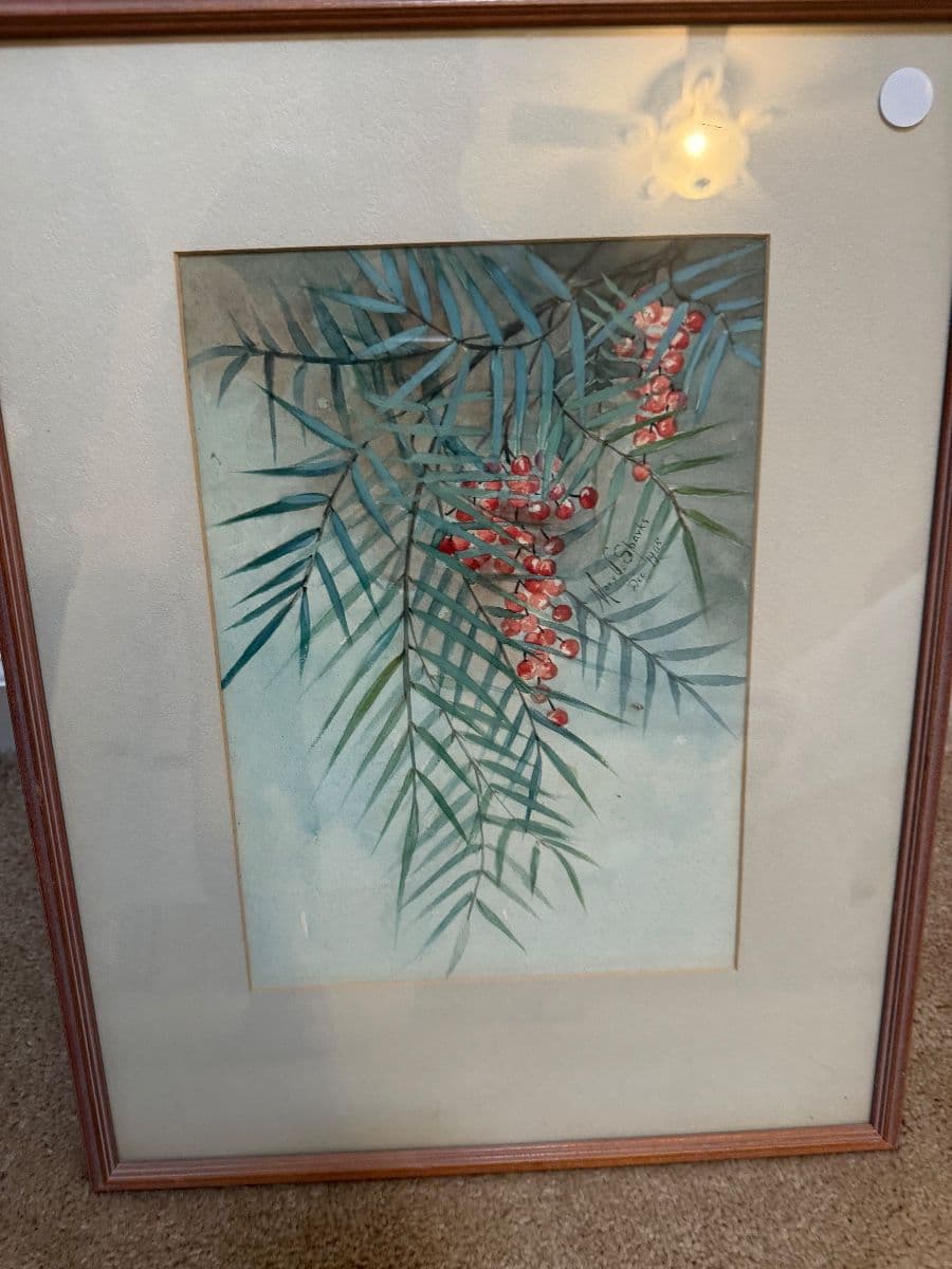 Elegant Woodland Sale photo 11