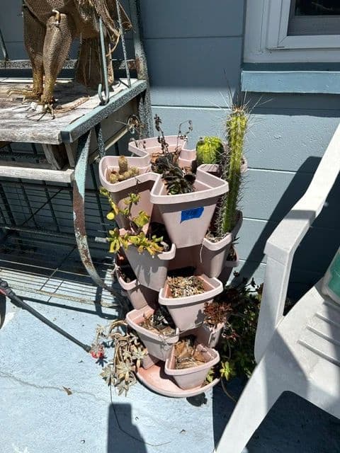 Lakeland ONE DAY BLOW OUT Estate Sale photo 6