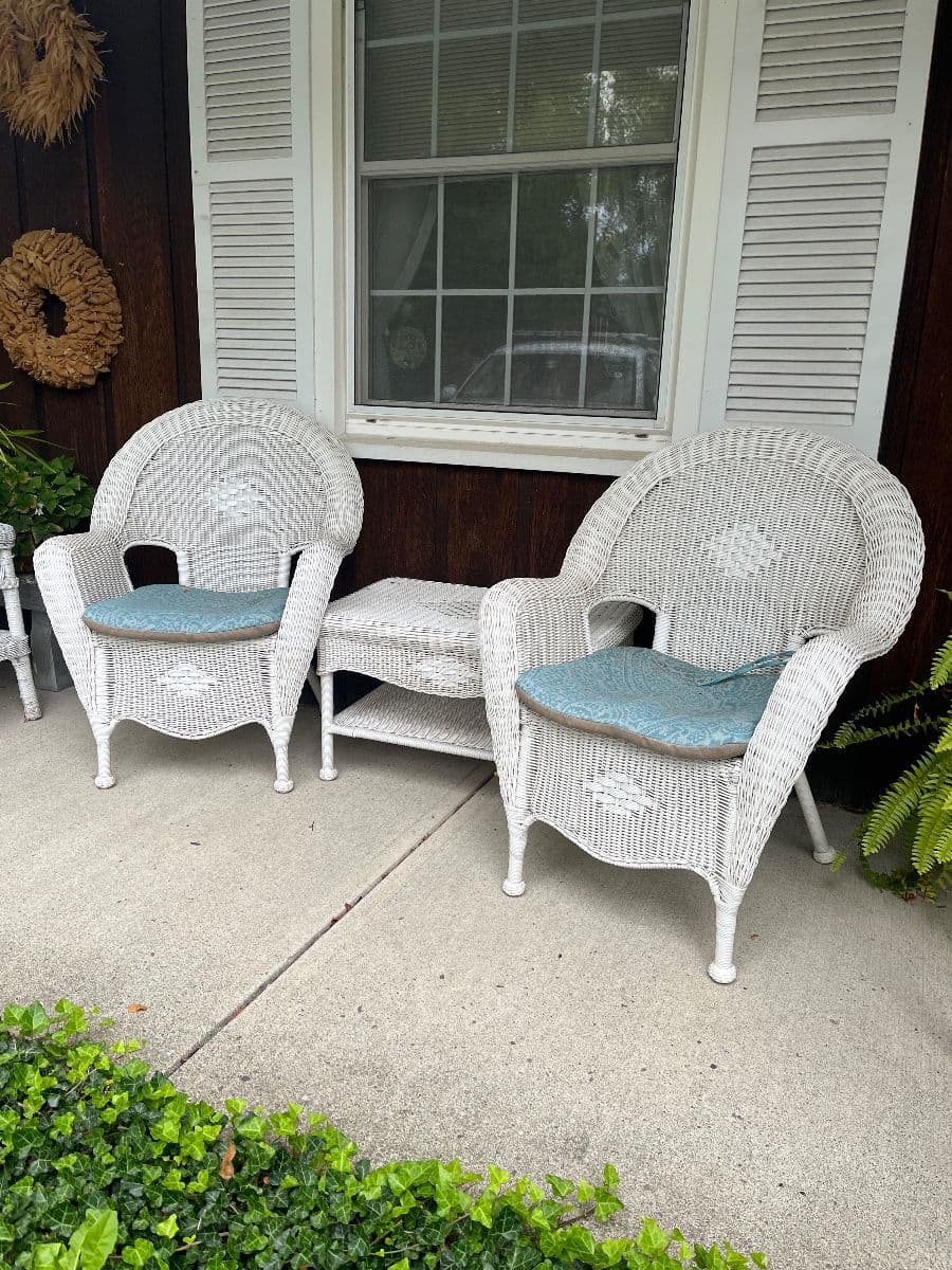 Estate Sale Fredonia, NY~Vintage Clothing, Garden, Holiday, Basement Contents! photo 3