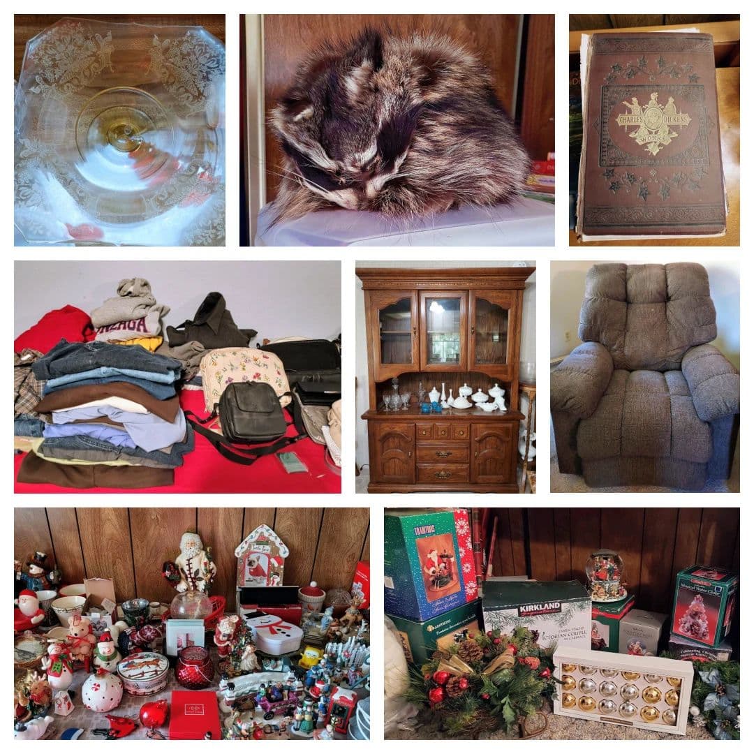 Whitstran Relocation/Living Estate Sale photo 9