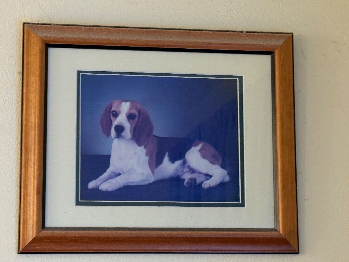 OAKFOREST Estate Sale photo 8
