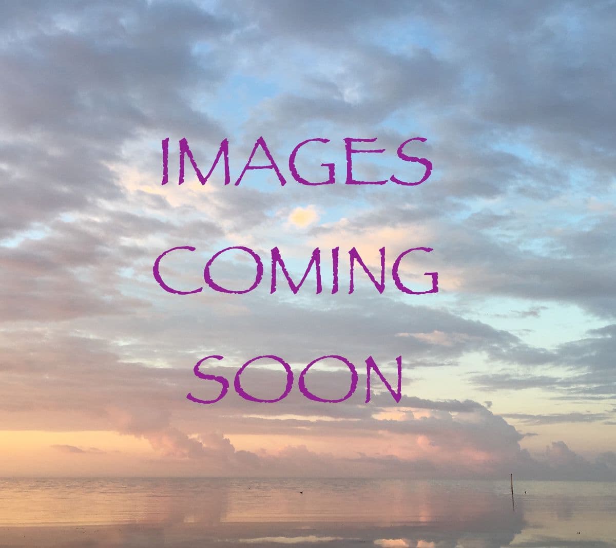FABULOUS Key West Sale w Furniture, Antiques and More! photo 1