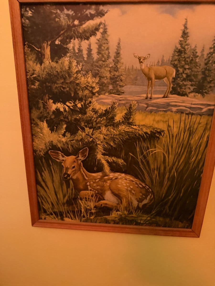 University District Sale! Great Art And Vintage! photo 7