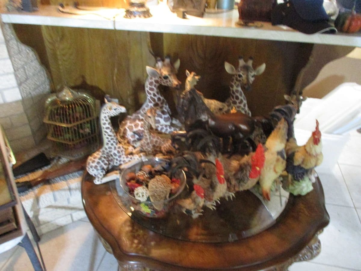 Spring Branch Digger Sale photo 6