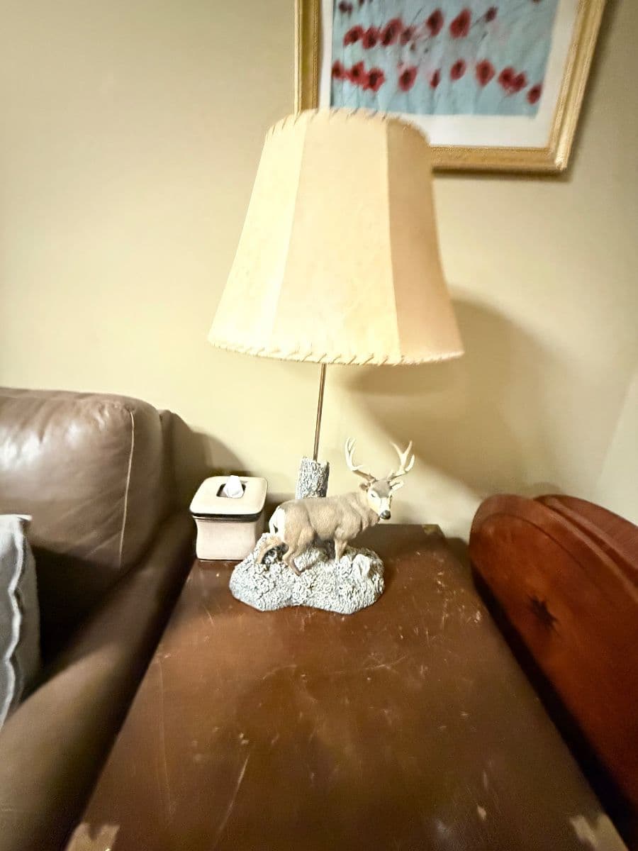 West Meade Moving Sale - 50% OFF photo 4