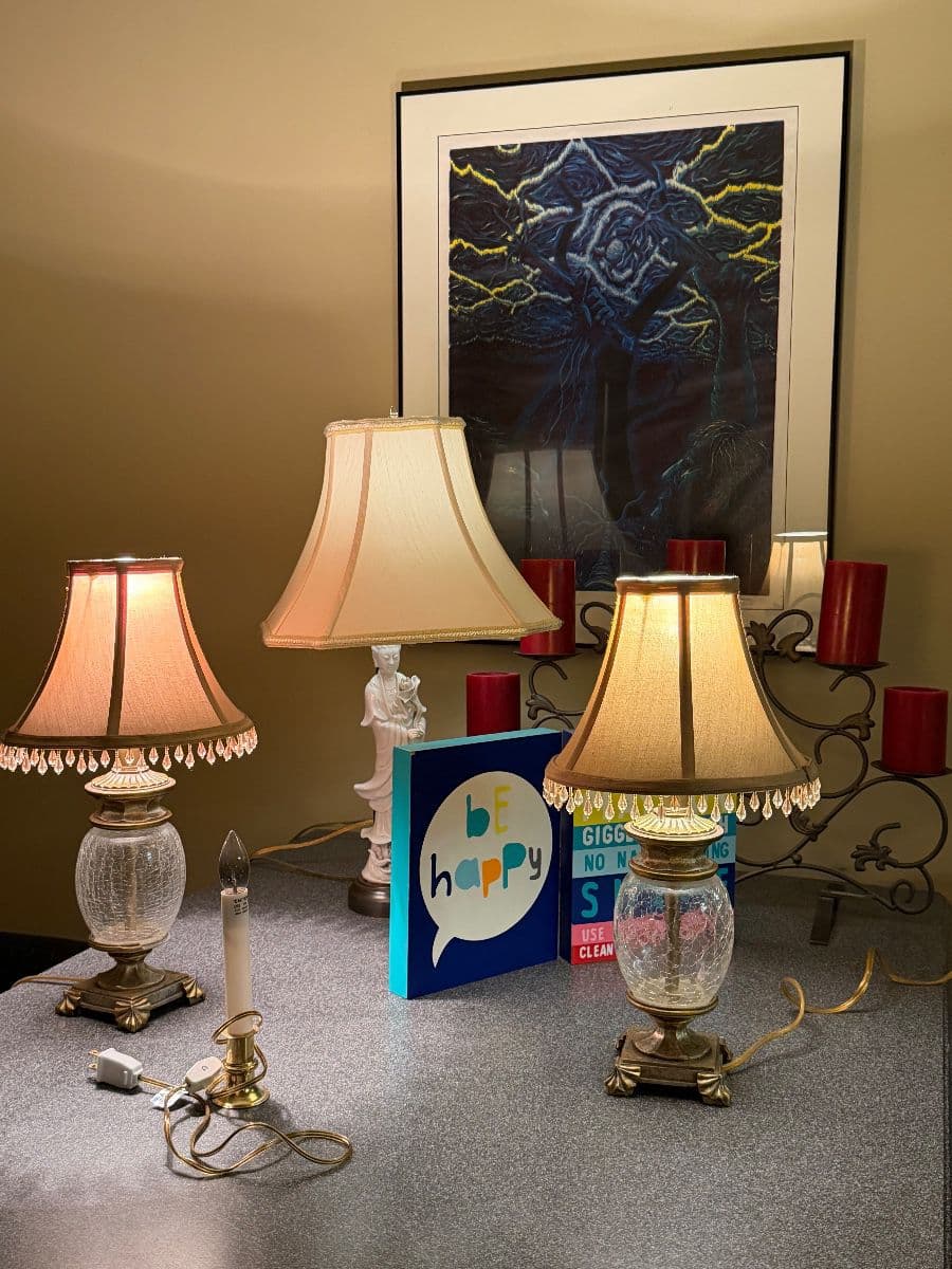 West Meade Moving Sale - 50% OFF photo 9