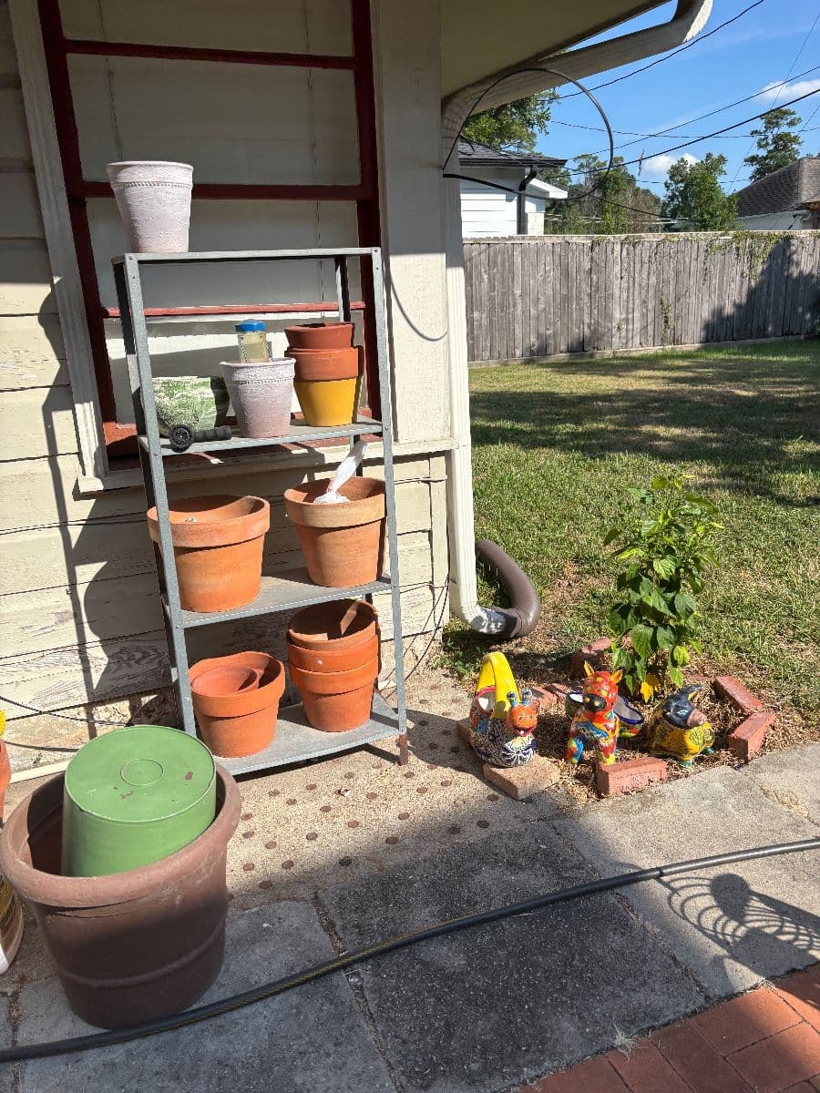 Treasure Trove in Oak Forest Estate Sale photo 10