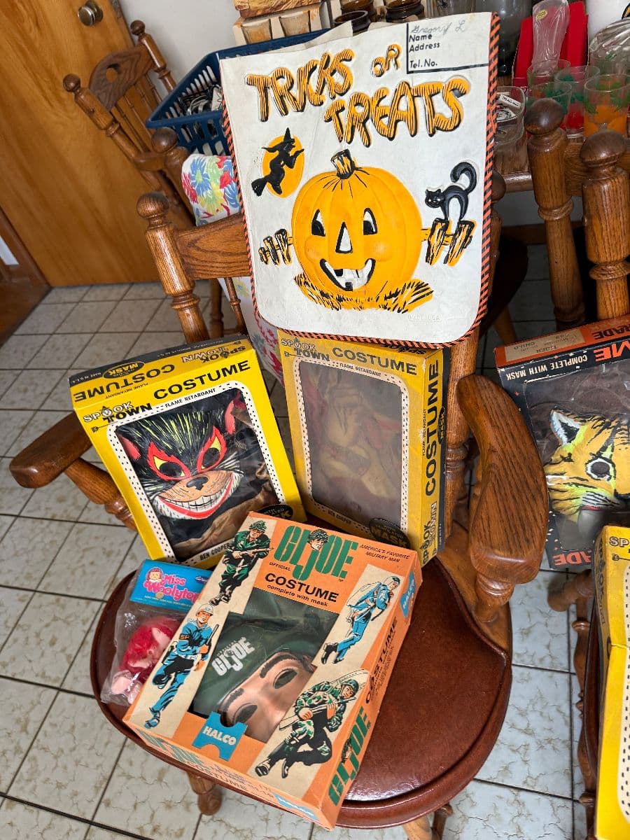 Chicago Midway Estate Sale! The Ageless Treasure! photo 4
