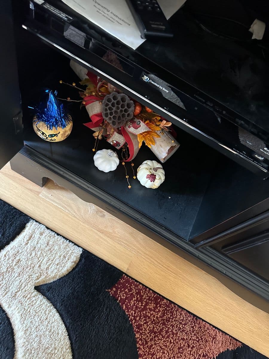 Moving to Florida!! Beautiful clean quality condo. photo 6