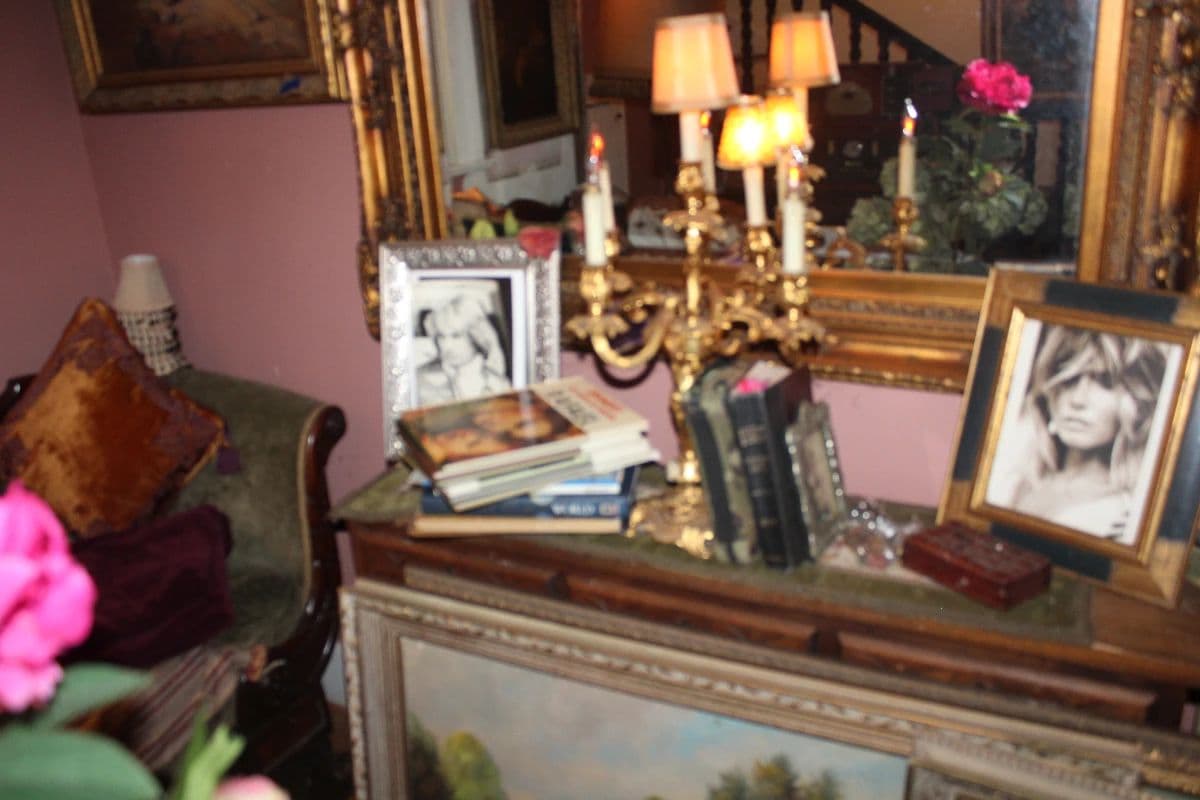 ART GALORE photo 11