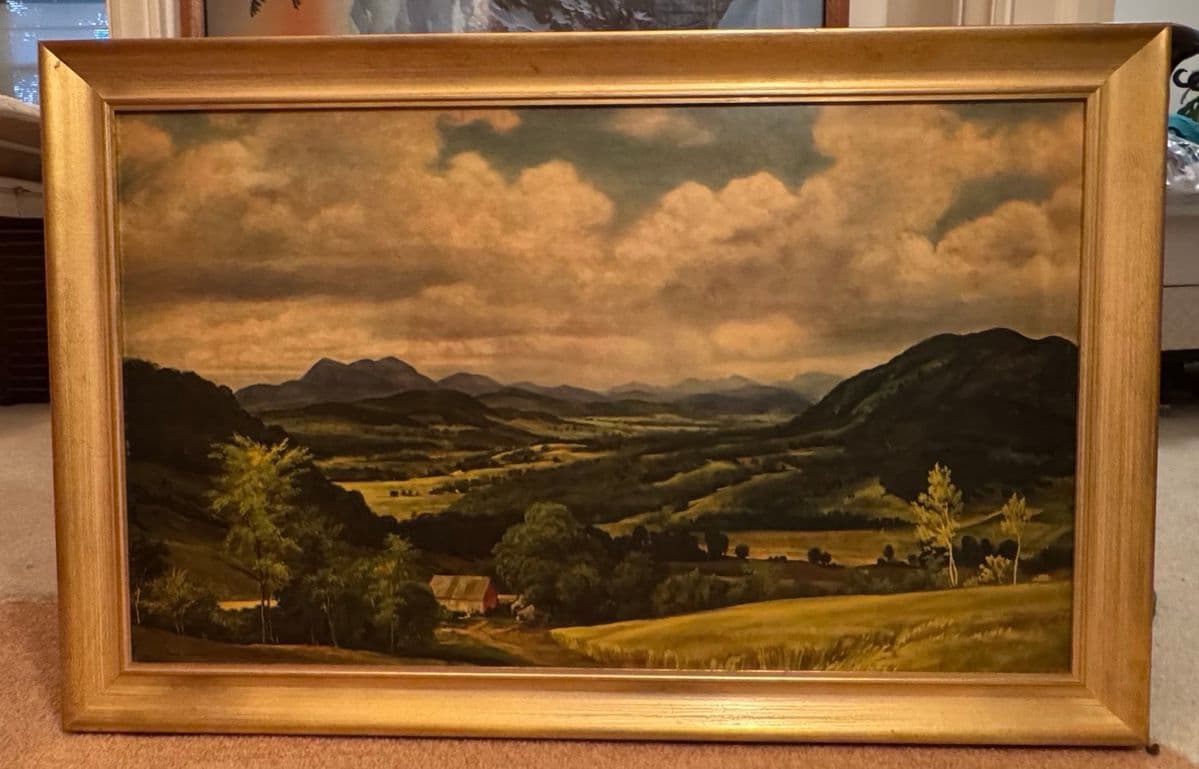 Blue Moon Estate Sale in Greensboro photo 12