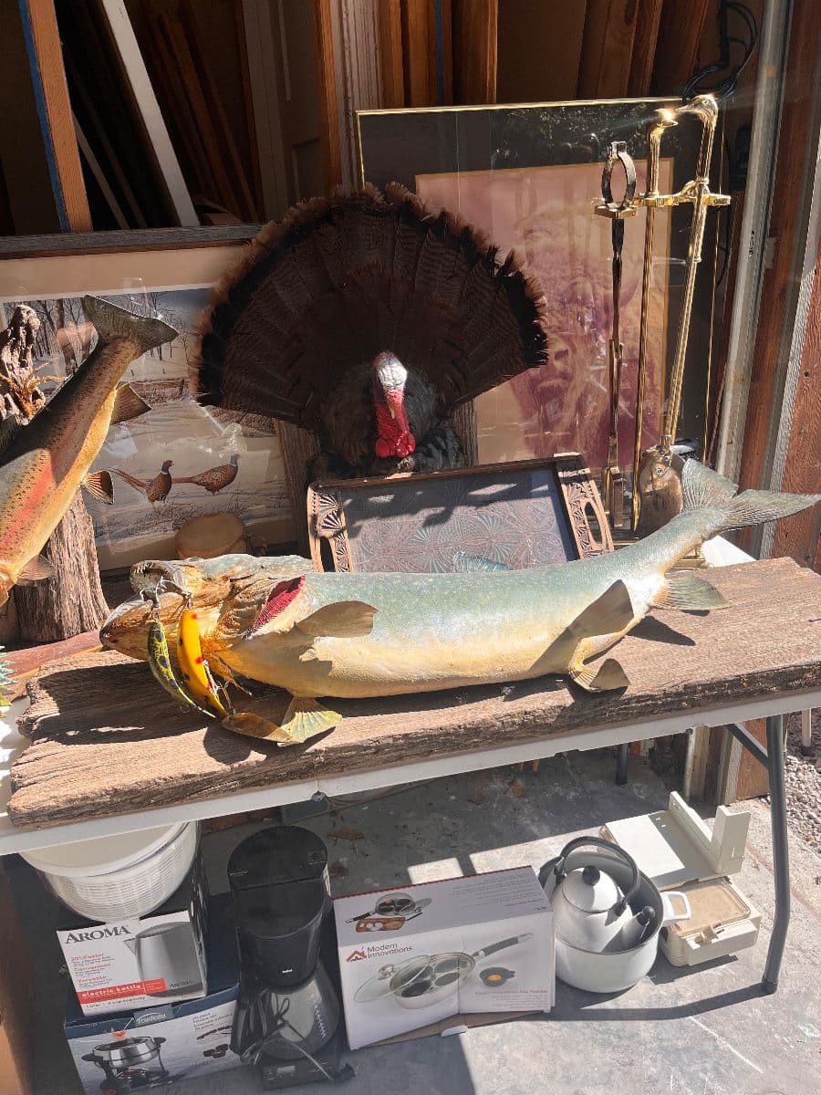Liberty Barn Bonanza! photo 9