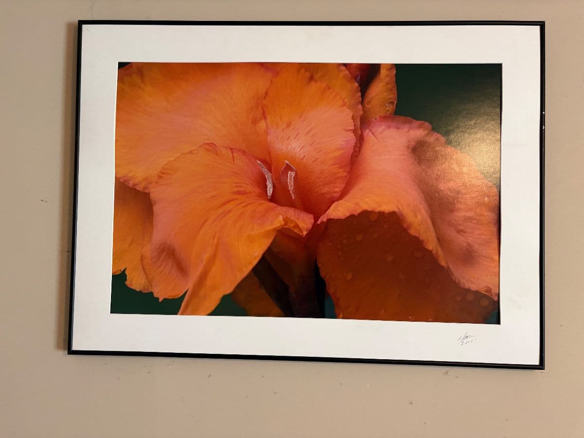 Estate Sale In Donelson photo 7