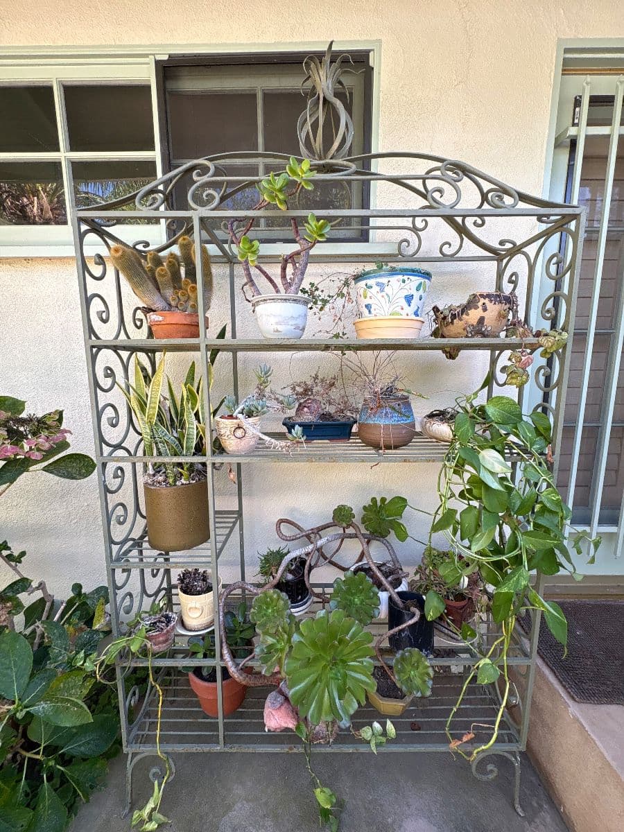 Brentwood 1 Day Blowout Estate Sale photo 7