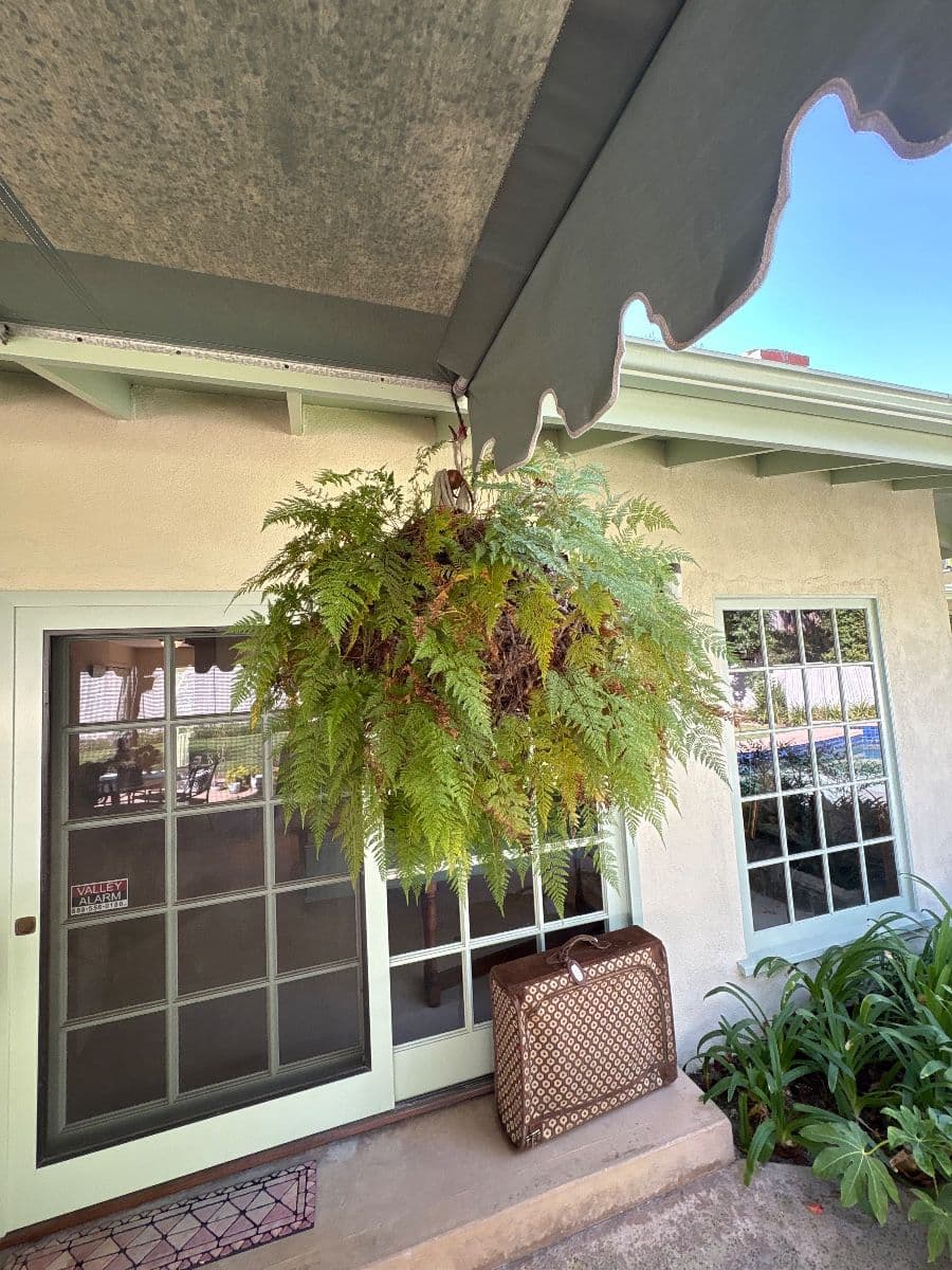 Brentwood 1 Day Blowout Estate Sale photo 9