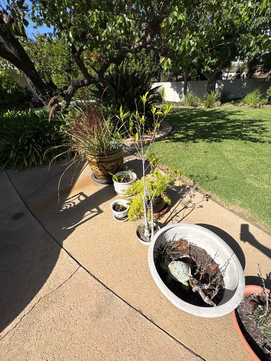 Brentwood 1 Day Blowout Estate Sale photo 11