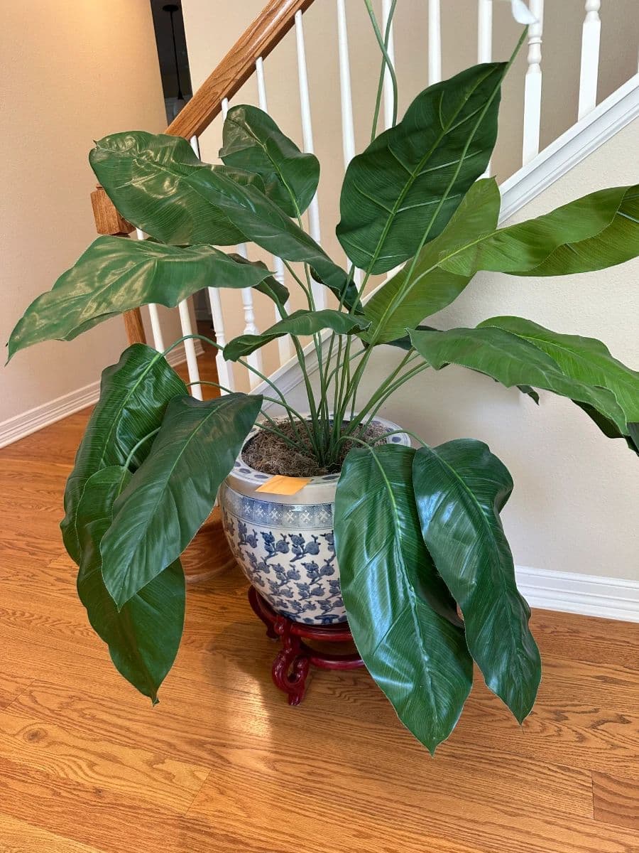 Lakeway ONLINE Estate Auction photo 1