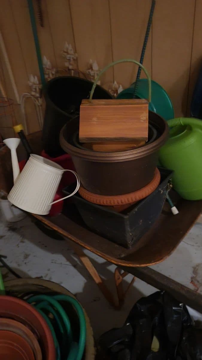 Everything Must Go photo 3