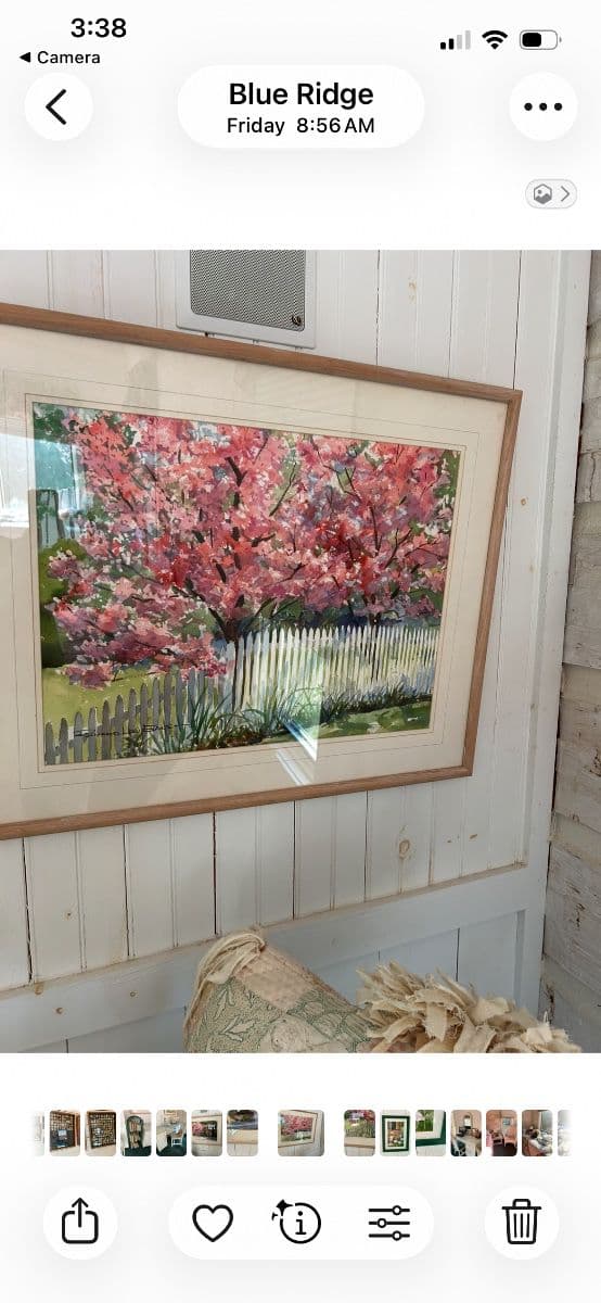 Part 2! VINTAGE ESTATE SALE! 2 HOUSES! BLUE RIDGE! photo 9