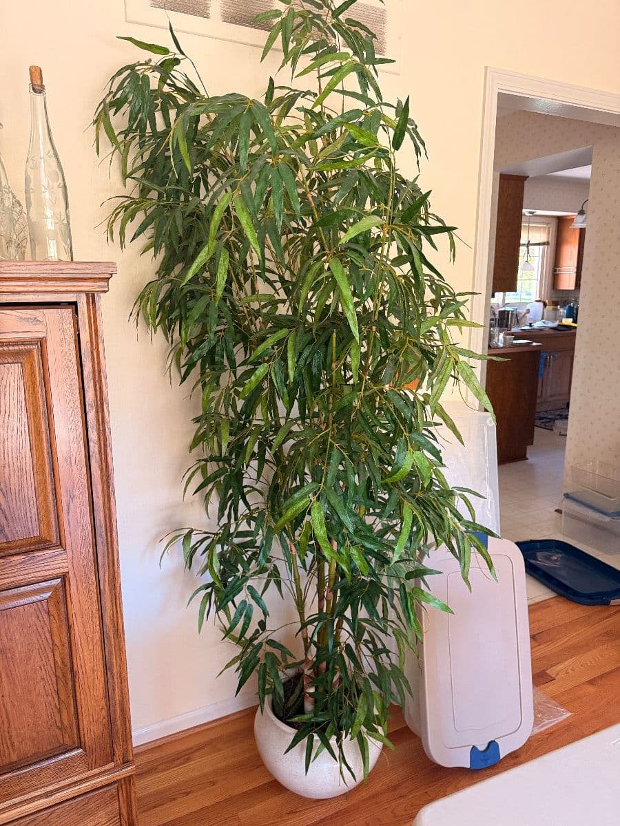 Bloomfield Hills Executive Estate Sale – A Lifetime of Collections, Quality & Character photo 8